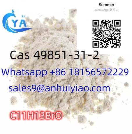 cas-49851-31-2-big-0