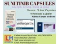 sunitinib-25mg-capsules-supplier-exporter-and-distributor-small-0