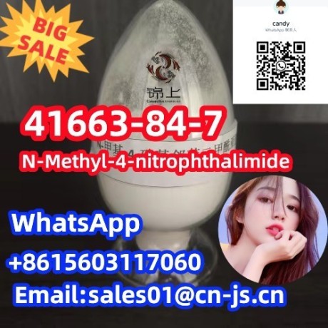 n-methyl-4-nitrophthalimide-41663-84-7-raw-material-big-0