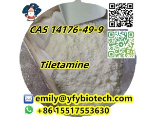 Top Quality Zolazepam C15H15FN4O CAS 31352-82-6