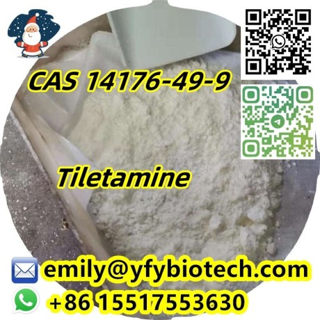 top-quality-zolazepam-c15h15fn4o-cas-31352-82-6-big-0