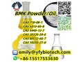 bmk-powder-bmk-oil-2-benzylamino-2-methyl-1-propanol-cas-10250-27-8-small-0