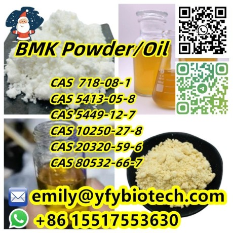 bmk-powder-bmk-oil-bmk-glycidic-acid-sodium-salt-cas-5449-12-7-big-0