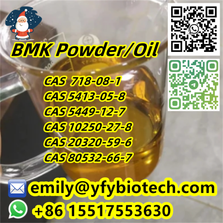 bmk-powder-bmk-oil-ethyl-3-oxo-4-phenylbutanoate-cas-718-08-1-big-0