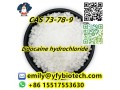 lidocaine-hydrochloride-c14h23cln2o-cas-73-78-9-small-0