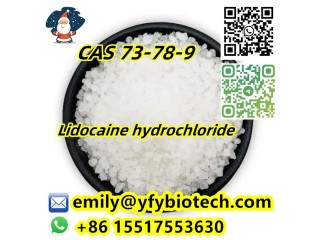 Lidocaine hydrochloride C14H23ClN2O CAS 73-78-9