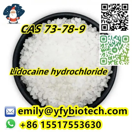 lidocaine-hydrochloride-c14h23cln2o-cas-73-78-9-big-0