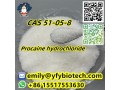 procaine-hydrochloride-c13h21cln2o2-cas-51-05-8-small-0