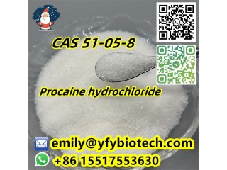 Procaine hydrochloride C13H21ClN2O2 CAS 51-05-8