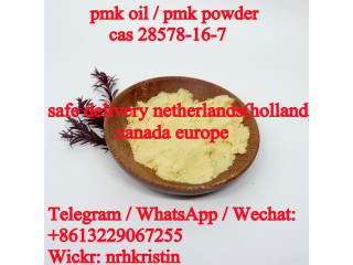 Cas 28578-16-7 White & Yellow Pmk Powder Pmk Ethyl Glycidate Pmk Oil