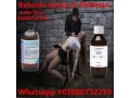 chloroform-spray-price-in-kamalia-03000732259-small-0