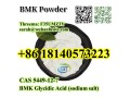 cas-5449-12-7-bmk-glycidic-acid-sodium-salt-with-best-price-small-2