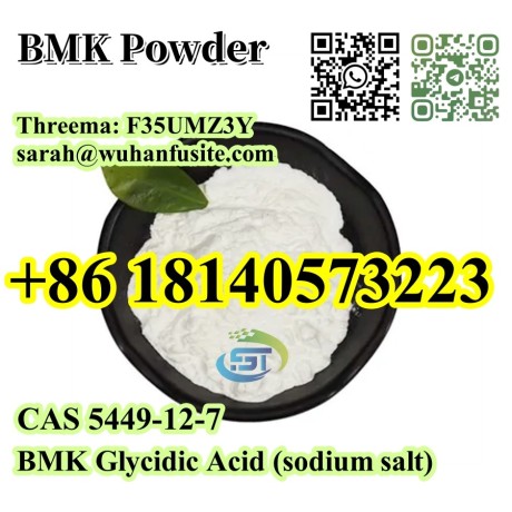 cas-5449-12-7-bmk-glycidic-acid-sodium-salt-with-best-price-big-2