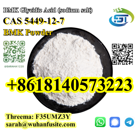 cas-5449-12-7-bmk-glycidic-acid-sodium-salt-with-best-price-big-0