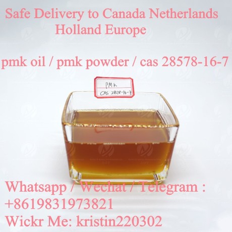 high-quality-pmk-powder-cas-28578-16-7-from-china-top-pmk-oil-supplier-big-1