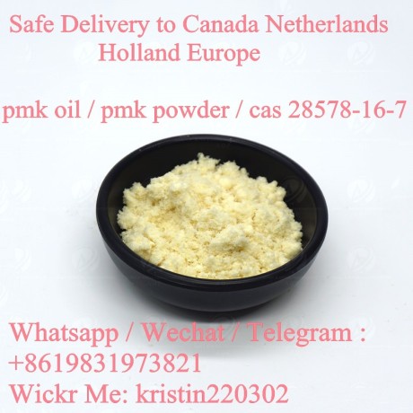 pmk-oil-pmk-ethyl-glycidate-cas-28578-16-7-pmk-glycidate-powder-big-0