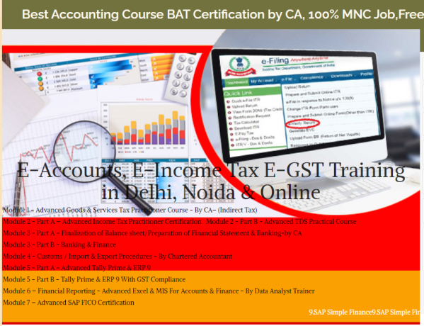 accounting-course-in-delhi-ncr-by-sla-accounting-institute-taxation-and-tally-prime-institute-in-delhi-noida-big-0