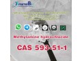 sell-cas-593-51-1-methylamine-hydrochloride-small-0