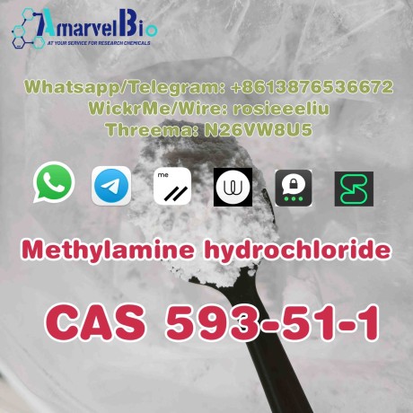 sell-cas-593-51-1-methylamine-hydrochloride-big-0