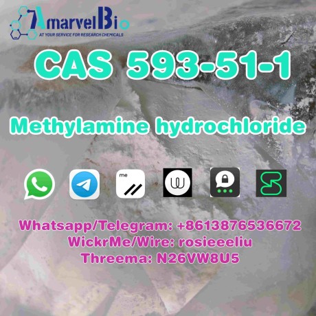 sell-cas-593-51-1-methylamine-hydrochloride-big-2