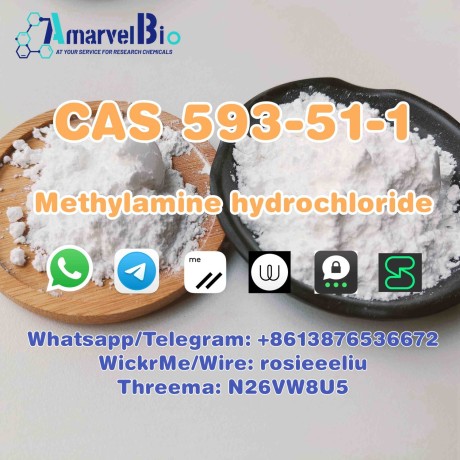 sell-cas-593-51-1-methylamine-hydrochloride-big-1