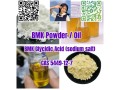 bmk-powder-bmk-oil-bmk-glycidic-acid-sodium-salt-cas-5449-12-7-small-0