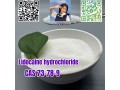 lidocaine-hydrochloride-c14h23cln2o-cas-73-78-9-small-0