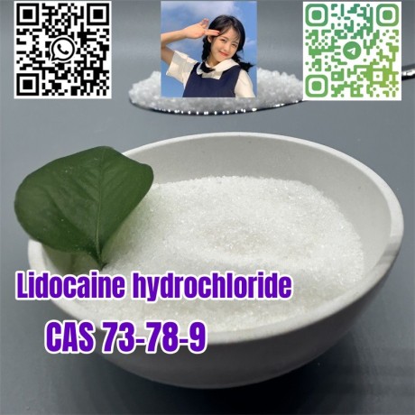 lidocaine-hydrochloride-c14h23cln2o-cas-73-78-9-big-0