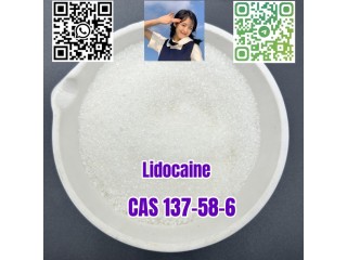 Lidocaine C14H22N2O CAS 137-58-6