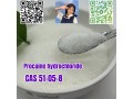 procaine-hydrochloride-c13h21cln2o2-cas-51-05-8-small-0