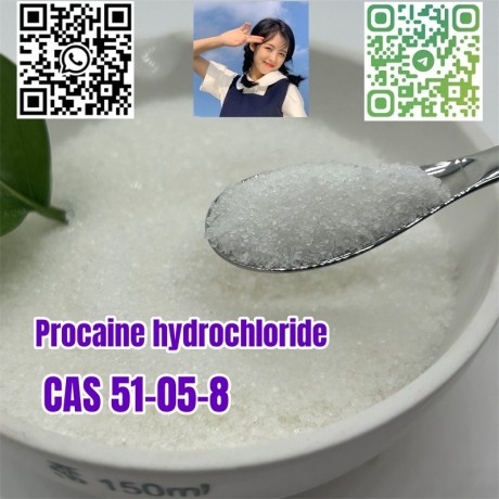 procaine-hydrochloride-c13h21cln2o2-cas-51-05-8-big-0