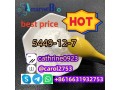 competitive-price-cas-5449-12-bmk-glycidic-acid-sodium-salt-with-good-quality-from-china-whatsapptelegram-8616631932753-small-0