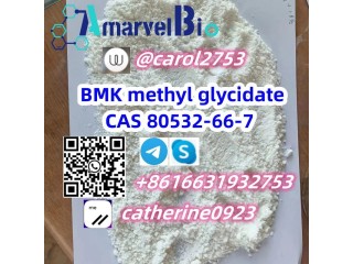 CAS 28578-16-7/ 20320-59-6/ 80532-66-7/ 5413-05-8 Pmk BMK in Euro Stock Whatsapp/Telegram +8616631932753