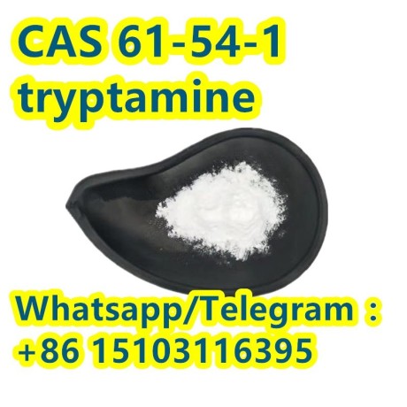 best-price-high-purity-tryptamine-cas-61-54-1-big-4