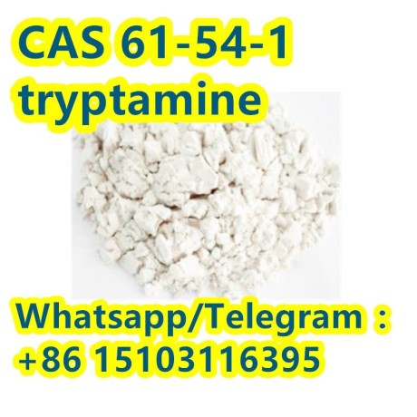 best-price-high-purity-tryptamine-cas-61-54-1-big-1