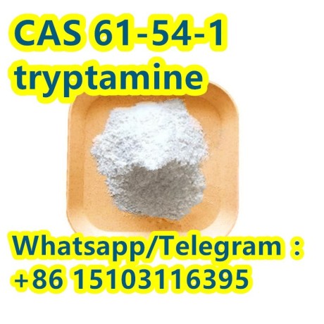 best-price-high-purity-tryptamine-cas-61-54-1-big-2