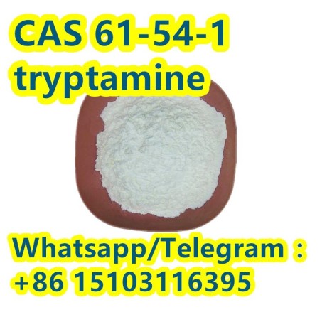 best-price-high-purity-tryptamine-cas-61-54-1-big-0