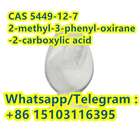 bmk-glycidic-acid-sodium-salt-cas-5449-12-7-big-0