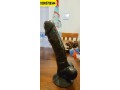 artificial-plastic-dildo-dick-plastic-penis-in-sukkur-03005788344-small-0